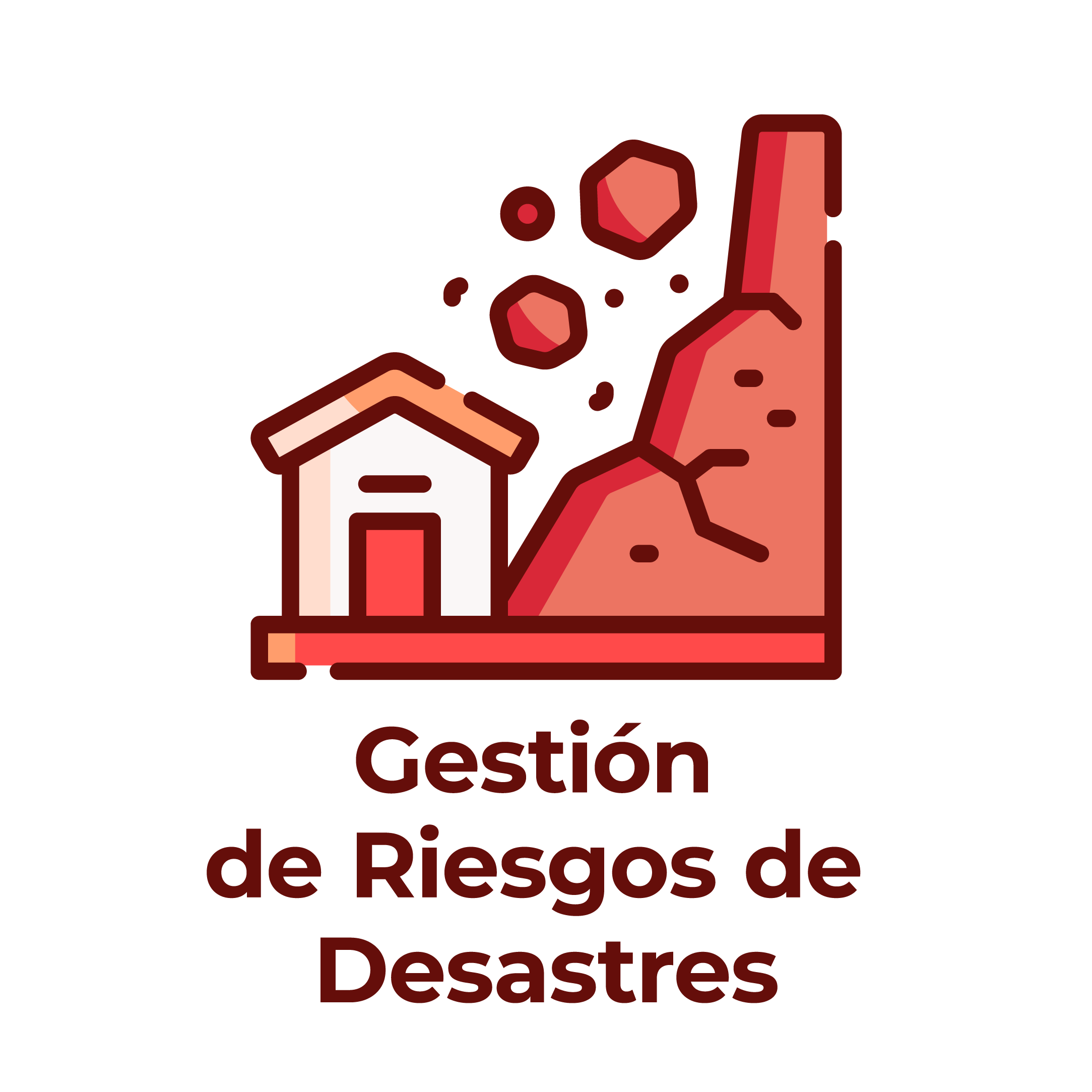 GESTIÓN DEL RIESGOS DE DESASTRES