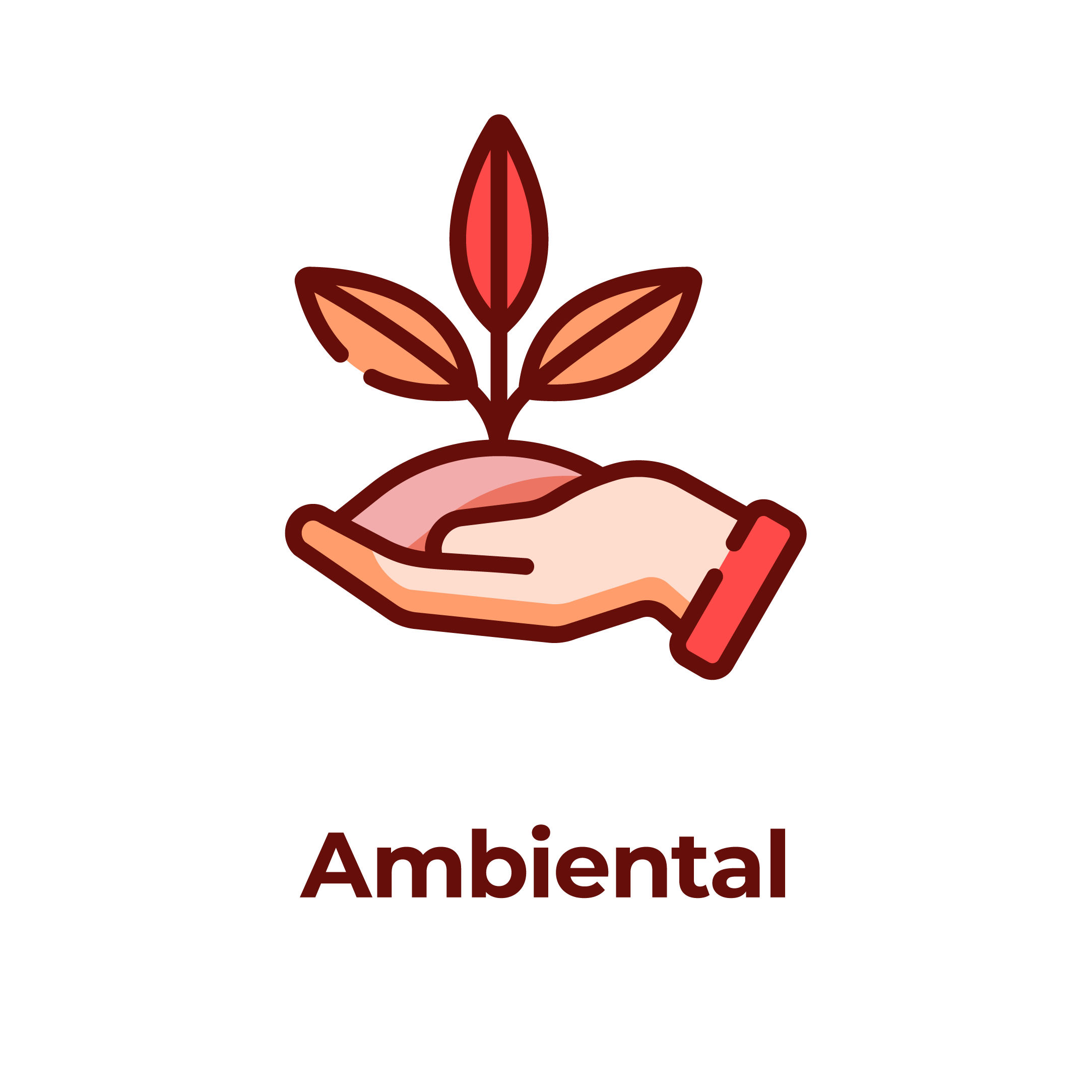 AMBIENTAL
